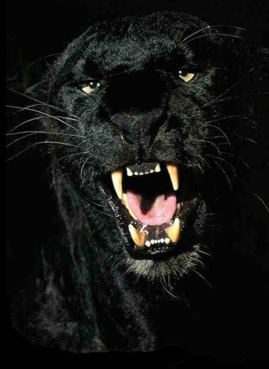 Aquila ka Hecate: October 2010